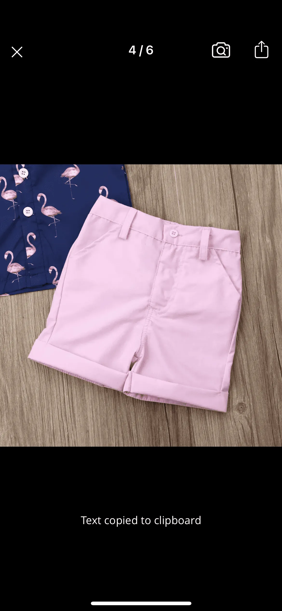 Boys Flamingo Button Shirt & Pink Shorts Set