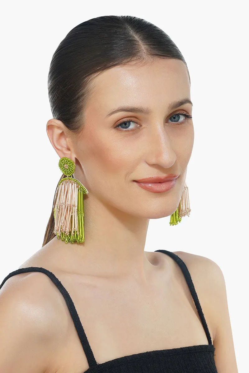 Glamorous Celebrity Earrings